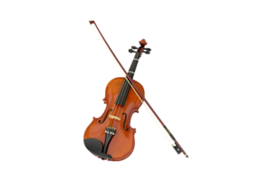 Violin